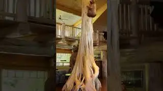 Custom built cabin