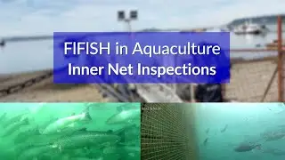 Aquaculture | Inner Net Inspections