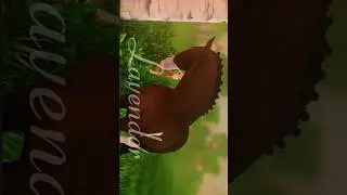 Но я не верю другой..)