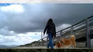 Maurizio Casu  - L'attesa