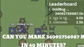 moomoo.io goldbug world record in 40 minutes
