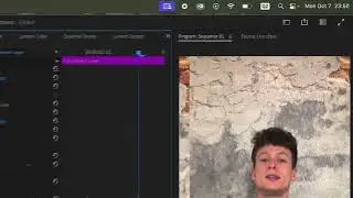 VIDEOBEARBEITUNG FÜR ANFÄNGER - Einstellungsebene für Übergänge - Premiere Pro