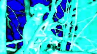 (REQUESTED) Glove and Boots Mario Screaming Csupo in Phased Effect 1.0