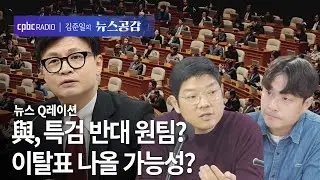 | 이재영 & 맹현균 | 與, 특검 반대 원팀? 이탈표 나올 가능성? | 뉴스Q레이션 [김준일의 뉴스공감]