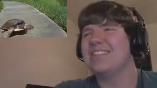 GamecubeDude300 reacts to Dank Memes Compilation YLYL V33