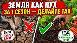 EARTH AS FLUFFY IN 1 SEASON - DO THIS