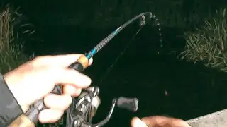 These Crappie Bites Change Colors In The Water