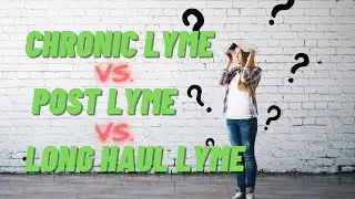 Chronic Lyme, Long Haul Lyme, and Post Treatment Lyme Disease Syndrome EXPLAINED