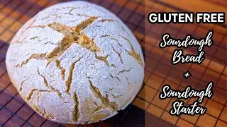 Easiest Gluten Free Sourdough Bread and Gluten Free Sourdough Starter I Beginner Recipe
