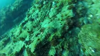 Фридайвинг в ледяной воде. Freediving in icy water.