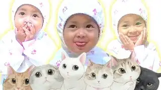 Meow meow song (English Version) Baby Dance and Cute Expressions