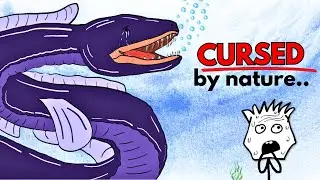 Why it sucks to be born as a electric eel