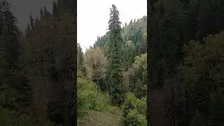 Beautiful View