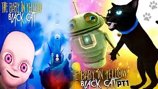 the baby in yellow black cat