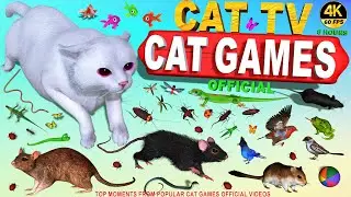 CAT TV | CAT GAMES OFFICIAL POPULAR VIDEOS BEST CLIPS & SPIKES COMPILATION VOL. 2 😻FOR CATS TO WATCH