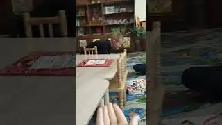 Бойтесь моего охранника