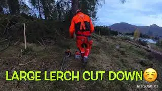Stihl Ms500i Husqvarna PPE , perfect Combo