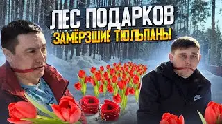Тюльпаны в лесу! Поздравление с 8 Марта / Что подарить??? #подарок #8марта #8марта2024 #розыгрыш