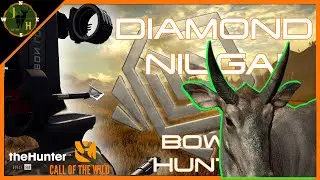 Bow Hunting a DIAMOND NILGAI