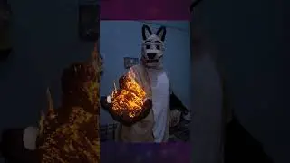 Edición de foto - Kinu con lava #Shorts