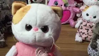 Обзор на Кошку Лили🐱 и Зайку Ми🐰