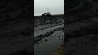 Уборка свеклы