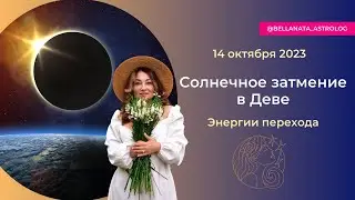 Влияние солнечного затмения 14 октября 2023 | Прогноз по всем знакам