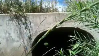 Goodhue Ditch, depression in ditch floor