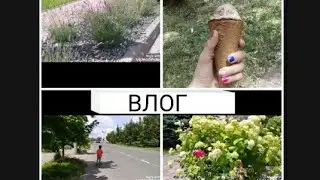 ВЛОГ ИДЕМ В МАГАЗИН. WOW DIY .