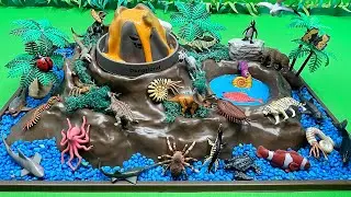 DIY Volcano Adventure With Dino And Sea Animals | Brachiosaurus Tiger Mosasaurus Shark