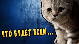 Эпоксидка + дерево ручка кпп