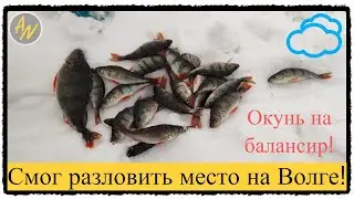 Окунь на балансир. Волга. Сломал удочку на рыбе!