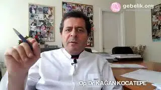 Gebelikte kurban eti, sakatat tüketimi hakkında bilinmesi gerekenler. Beyin, kokoreç yenebilir mi?