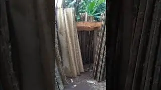 cara mengeringkan kayu biar tetep lurus & cepat kering
