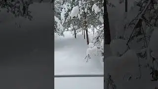 Виниловая пластинка Чиж.
