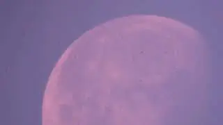 Lune pas encore couchée