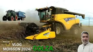 VLOG MOISSON 2024 : DEBUT DES RÉCOLTES DU COLZA DANS LA MARNE !!