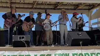 Old Joe Clark (Bluegrass from the Forest)