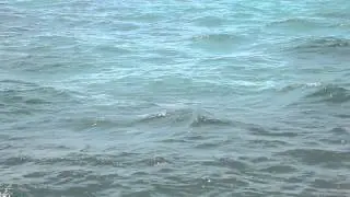 DSC 0159