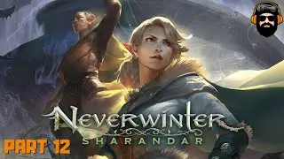 NEVERWINTER Gameplay - Part 12 - Leveling Paladin (no commentary)