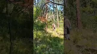 И это только начало нашего восхождения)
