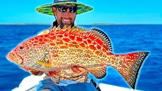 I Caught my First Fire Grouper