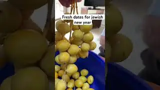 #dates
