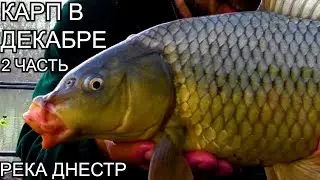 CARP FISHING IN DECEMBER. CLOSING OF THE SEASON!!! THE BEST EQUIPMENT FOR CARP! DNIESTER! PART 2