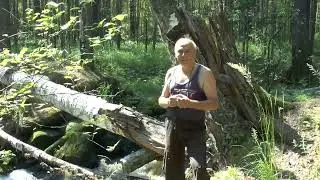 На УАЗиКе в сказочные места