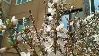 Снимаю любую порчу. Гадаю на любой вопрос. Будни мага.