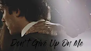 Damon & Elena | Don't Give Up On Me [for Solen]