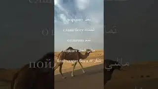 Как ответить на «как дела?» по-арабски