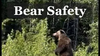 Bear Safety