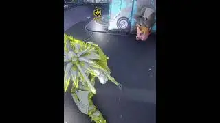 I turn my back for one second... (Warframe)